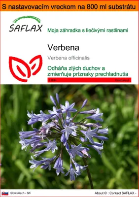 Obrázok produktu pre SAFLAX Garden in the bag - Verbena - Verbena officinalis - 250 Semená - S pestovateľským substrátom v praktickom samostaviteľnom vrecku