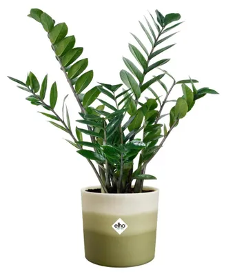 Produktbild von elho Colour Gradiant Rund 16cm - Blumentopf für Innen - 100% recyceltes Plastik - Ø 15.9 x H 14.7 - Grün/Bambusgrün