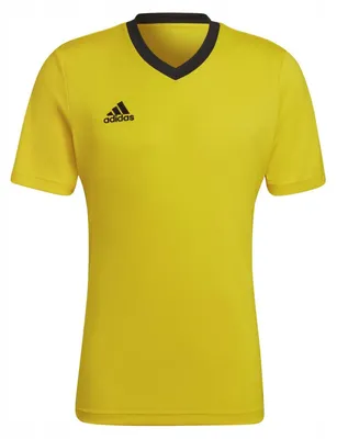 Image de Maillot Adidas « Entrada 22 » pour homme PP1149 (S) (jaune)