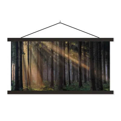 Produktbild von MuchoWow® Textilposter Bäume - Wald - Sonne - Pflanzen 60x30 cm mit schwarzem Rahmen - Textilien