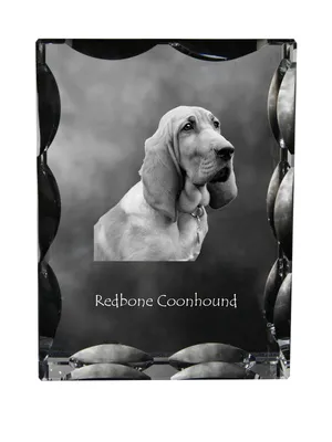 Immagine prodotto di Art-Dog Cornice portafoto – Redbone Coonhound