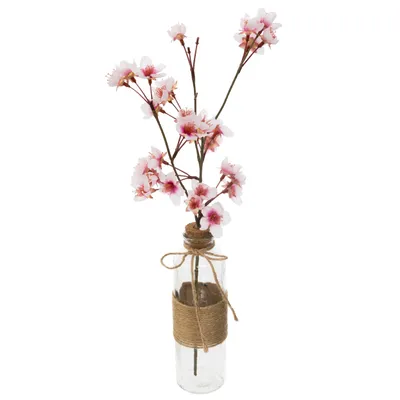 Image de Vase en verre avec branche fleurie rose