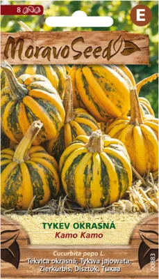 Immagine prodotto di Zucca ornamentale KAMO KAMO 00883
