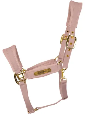 Produktbild von Kentucky Horsewear Halfter Velvet Samthalfter Stallhalfter Soft Rose Full