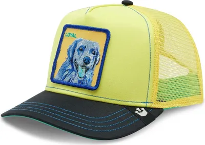 Produktbild von Cap Goorin Bros 101-1037-YEL für Uni