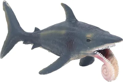 Produktbild von Simulation Hai-Modell, lebensecht, lebendig, pädagogisches Helicoprion-Spielzeug, Meerestier für über 3 Jahre