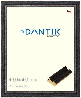 Zdjęcie produktu dla Ramka DANTIK 40x50 | LYON czarna (szkło przezroczyste)
