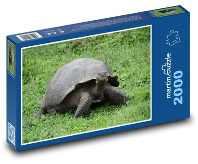 Obrázek produktu pro martinpuzzle - Puzzle 2000 - Galapázská želva - plaz, zvíře