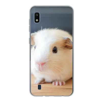 Produktbild von MuchoWow® Handyhülle Schutzhülle Hülle für Samsung Galaxy A10 Niedliches Baby-Meerschweinchen Silikon Softcase Handy Hülle - Schutzhülle