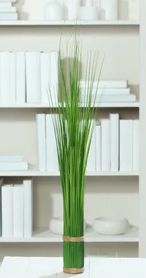 Produktbild von künstliches Stehgras Bündel, Deko Gräser H. 60cm D. 7cm grün DPI