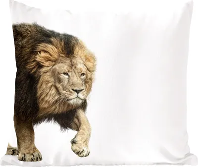 Produktbild von MuchoWow® Zierkissen Sofakissen Wohnzimmer Dekokissen 50x50 cm Löwe - Weiß - Tiere - Komfort - Sofakissen