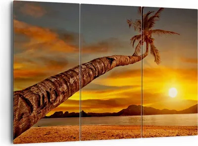 Produktbild von Bild auf Leinwand - Leinwandbild - Palme Landschaft Sonne - 165x110cm - Wand Bild - Wanddeko - Leinwanddruck - Bilder - Kunstdruck - Wanddekoration - Leinwand bilder - Wandkunst - CE165x110-0162