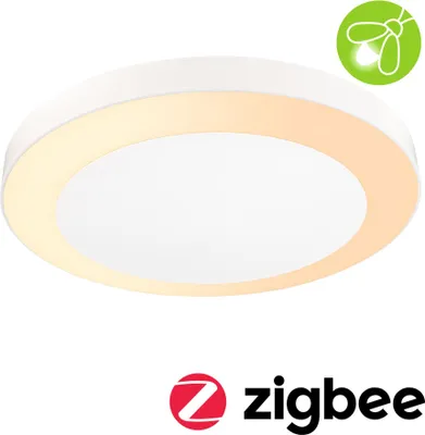 Image de Paulmann LED Plafonnier Circula respectueux des insectes