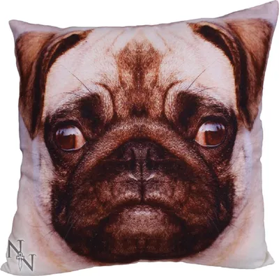 Image de Coussin Chien Carlin