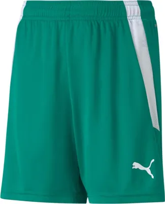 Immagine prodotto di Pantaloni Puma Teamliga 70493105