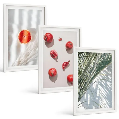 Produktbild von Bilder Set 3-teilig im weißen Rahmen – Wandbilder 3 Stück – gerahmte Poster für Wohnzimmer, Schlafzimmer und Flur – 40x60 cm – Feiertagspalmenfrüchte