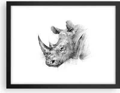 Produktbild von Gerahmtes Poster - Schwarzer Rahmen - Nashorn Porträt Grafik - 40x30 cm - Wand Bild - Wanddeko - Wandbilder - Kunstposter - Wandposter - Bilderrahmen - Bilder - Kunstdruck - P2BAA40x30-4378