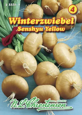 Produktbild von Zwiebel Senshyu Yellow Winterzwiebeln | Zwiebelsamen von N.L. Chrestensen