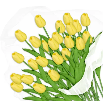 Kunsttulpen, 24 Stück, gelb/grün, 33,5 cm, Kunststoff