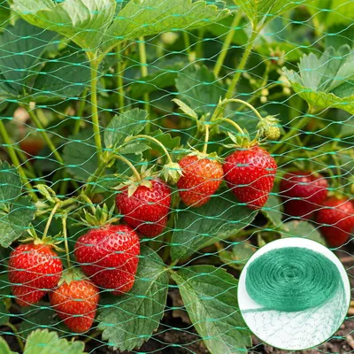 Produktbild von Vogelschutznetz 4 x 12 m für Garten und Pflanzen