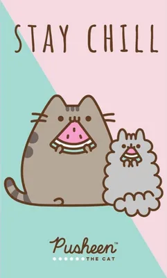 Obrázok produktu pre Detská osuška Pusheen Stay Chill 30x50 cm