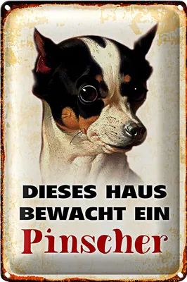 Produktbild von Blechschild Hund 20x30cm dieses Haus bewacht ein Pinscher