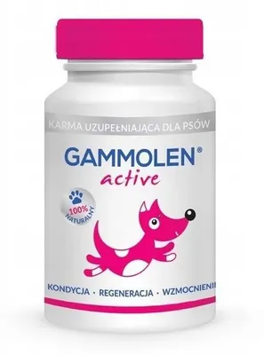 Zdjęcie produktu dla Gammolen Active - 90 kapsułek dla psów aktywnych, Kondycja, Regeneracja, Wzmocnienie