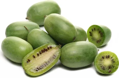 Produktbild von Großrüchtige Bayern-Kiwi `Super Jumbo´ (Actinidia arguta) - 60-80cm im Topf