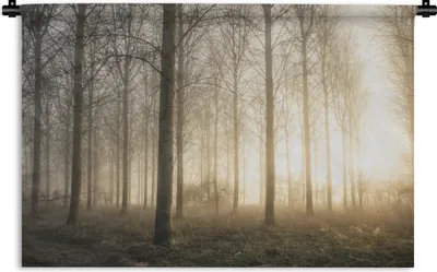 Produktbild von MuchoWow® Wandteppich Wandbehang Wald - Sonne - Nebel 120x80 cm Tapisserie Dekoration Wandtuch - Wanddekorationen - Wandtücher