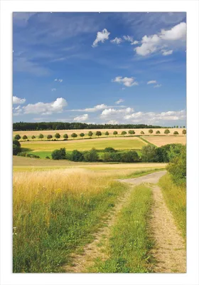 Produktbild von Wallario Wandbild Feldlandschaft unter blauem Himmel, Größe: 61 x 91,5 cm, Poster mit rahmenlosen Bildhalter