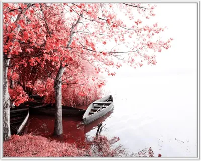 Produktbild von Wallario Wandbild Romantische Bootsanlegestelle in rot-weiß, Größe: 40,30 x 50,30 cm, Poster mit weißem Aluminiumrahmen