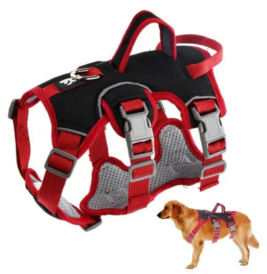 Immagine prodotto di Solidchoice - Imbracatura anti-trascinamento per cani di piccola e media taglia