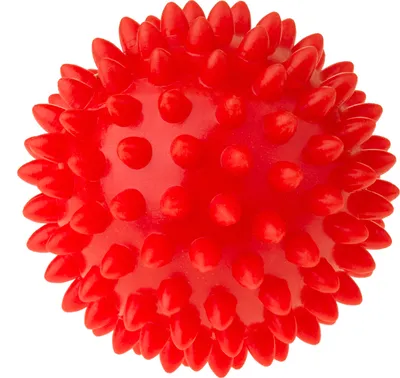 Immagine prodotto di TULLO Palla riabilitativa 6,6 cm rossa 474095