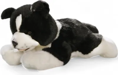 Obrázok produktu pre Carl Dick Border Collie šteniatko ležiace cca 29cm 2692 Plyšová hračka, plyšová hračka, plyšové zvieratko