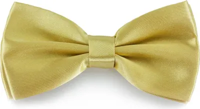 Produktbild von Oblique Unique Fliege Schleife Hochzeit Anzug Smoking - light-gold