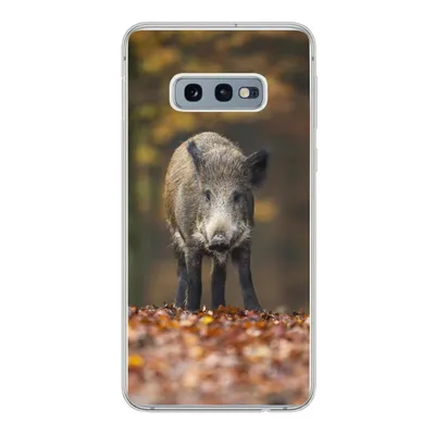 Produktbild von MuchoWow® Handyhülle Schutzhülle Hülle für Samsung Galaxy S10e Wildtier - Wald - Herbst Silikon Softcase Handy Hülle - Handy