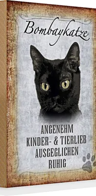 Produktbild von Holzschild Spruch 20x30cm Bombaykatze Katze
