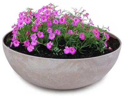 Image de Jardinière ronde ventrue de 20 cm pour l'extérieur, marbrée sable