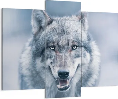 Produktbild von Bild auf Leinwand - Leinwandbild - 3 Teile - Wolf Raubtier Wildheit - 130x100cm - Wand Bild - Wanddeko - Wandbilder - Leinwanddruck - Bilder - Wanddekoration - Leinwand bilder - CB130x100-5073