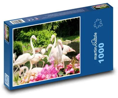 Zdjęcie produktu dla martinpuzzle - Puzzle 1000 - "Plameňaki" - ptaki, zwierzęta