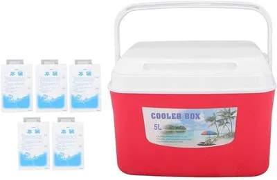 Produktbild von Kühlbox 5 Liter für Reisen, Mittagessen und Aktivitäten – Isolierbox mit Tragegriff