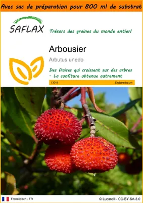 Image de SAFLAX Garden in the bag - Arbousier - 50 graines - Arbutus