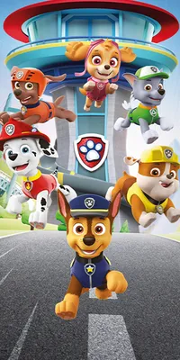 Produktbild von Paw Patrol Badetuch Street 70x140 cm