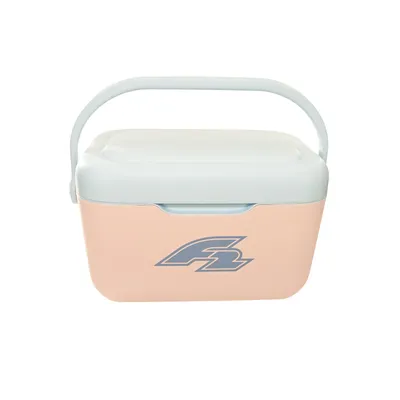 Produktbild von F2  Kühlbox Klein Cool Box Kühltasche 11,6L Blau/Pink