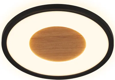Immagine prodotto di Lampada da soffitto piatta Lampada da soffitto Soggiorno Dimmerabile Camera da letto Corridoio Legno