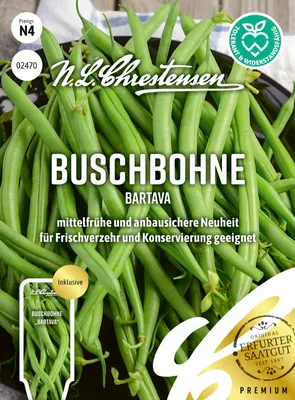 Artikelbild 1 von 'Buschbohne Bartava' aus der Kategorie Buschbohnensamen