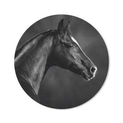 Produktbild von MuchoWow® Mauspad Mousepad Pferd - Tiere - Schwarz - Weiß - Porträt 20x20 cm - Mousepads - Maus Mat - Pad - Mausunterlage - Schreibtischmatte