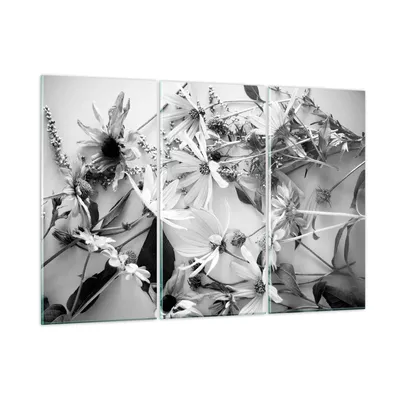 Produktbild von Bilder auf glas - 3 Teile - Blumen Schwarzweiß Fotografie - 105x70cm - Glasbilder - Wandbilder - Bilder - Wanddekoration aus Glas - Glas Bilder - Wandbild auf Glas - GCE105x70-4740