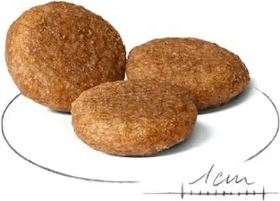 Immagine prodotto di ROYAL CANIN SHN Medium Adult BF 15 kg