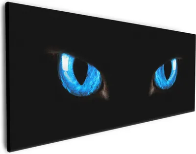 Produktbild von Wallario Premium Leinwandbild Blaue Katzenaugen bei Nacht in Größe 80 x 200 cm